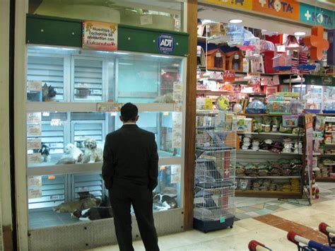 Alternatively you can use the stores.petsmart.com/2364 web address. My Top Collection: Pet store pictures