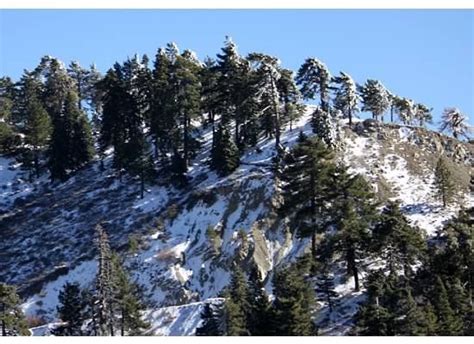 Get to know more about johnny smith, pacific crest vice president & residential loan officer. Wrightwood, CA in the winter | Pacific crest trail ...