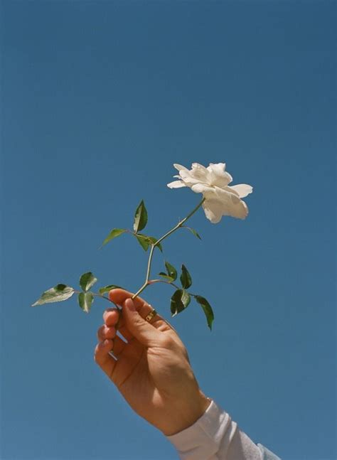 See more ideas about aesthetic colors, baby blue aesthetic, light blue aesthetic. -P I N T E R E S T//DearAutumn- | Flower aesthetic, Blue ...