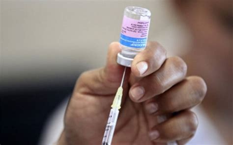 aprobada en méxico por primera vez la vacuna contra el dengue en el mundo el sol de méxico