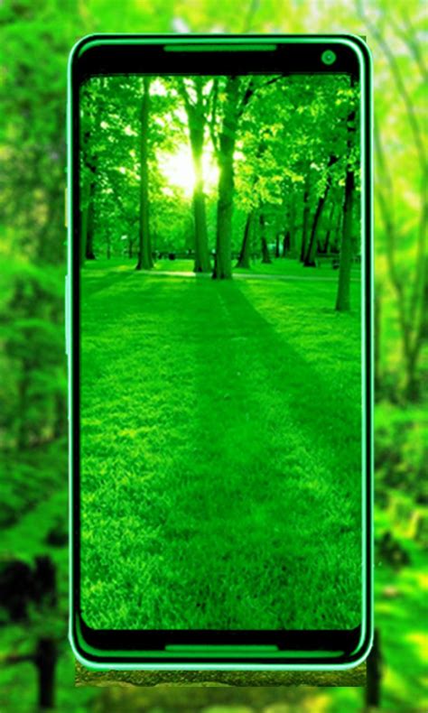 Green Nature New Hd Wallpaper For Android Apk Download
