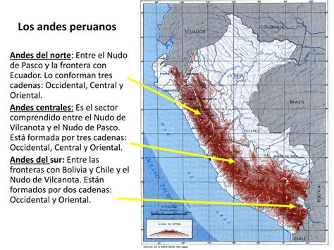 Ppt Cordillera De Los Andes Pisos Altitudinales Powerpoint