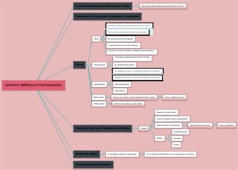 Arriba Imagen Mapa Mental Sistema Reproductivo Abzlocal Mx