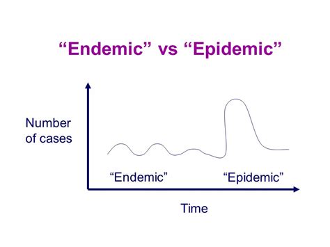 · difference between endemic and epidemic • both endemic and epidemic are diseases though endemic is a disease that is common to a particular are while epidemic. What is the Difference Between a Pandemic, Endemic and ...