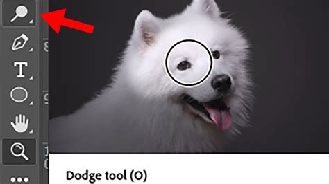 Where Did The Dodge Tool Icon Go In Photoshop Youtube