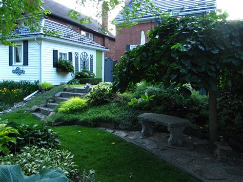 Camperdown Elm Provides A Shady Nook In My Ontario Backyard Garden