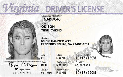 Blank Virginia Drivers License Template