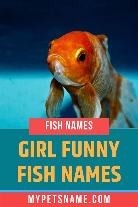 Girl Funny Fish Names Fishing Humor Girl Pet Names Cool Pet Names