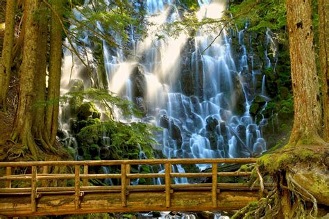 Paisajes Naturales Con Flores Y Cascadas - Vernajoyce Blogs