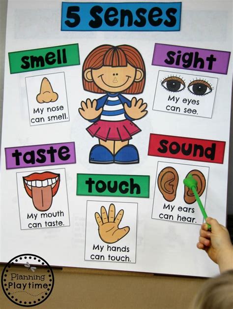 5 Senses Planning Playtime Senses Preschool Preschool Charts Five