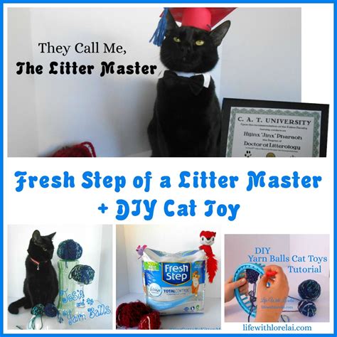 Ever Clean Cat Litter Review