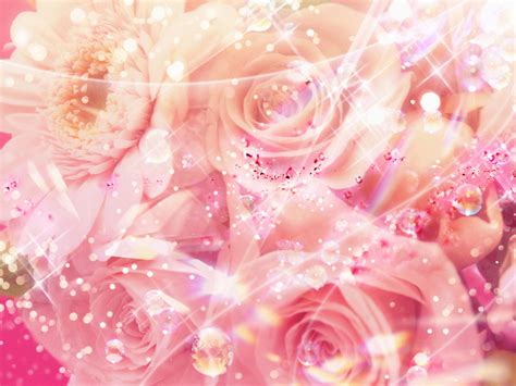 Pretty Pink Roses Wallpaper Pink Color Photo 34590749 Fanpop