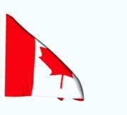 Requests to use the canadian flag in connection with business activities should be addressed to the department of canadian heritage (attention: Bandera de Canada Animadas