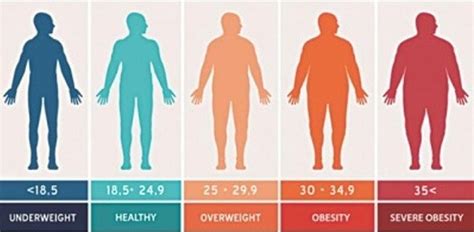 Stories: Bmi 185 Male