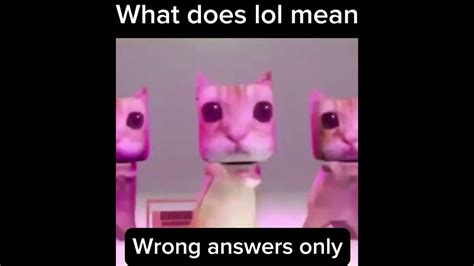 What Does Lol Mean Wrong Answers Only Youtube