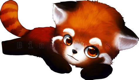 Red Panda Png File Png Mart