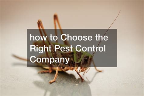 How To Choose The Right Pest Control Company First Homecare Web