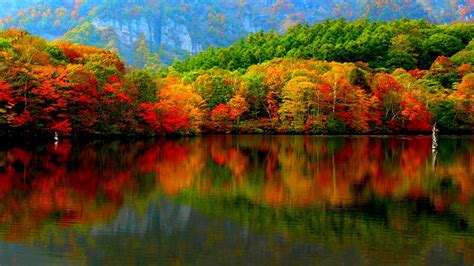 Nature 4k Autumn Wallpapers Wallpaper Cave