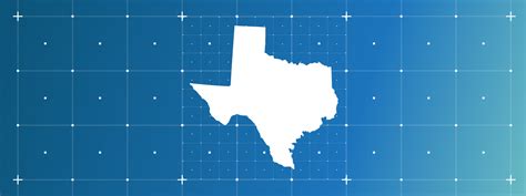 State Profile - Texas — Independent Sector