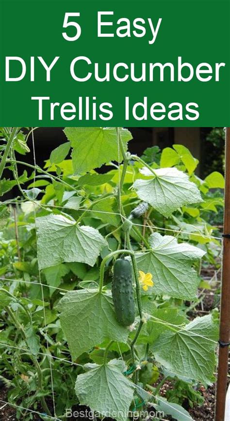 Garden trellis ideas for cucumbers / 15 easy diy cucumber trellis ideas
