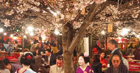 10 Best Places To See Sakura In Japan Insidejapan Tours