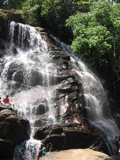 Sirimane falls is one among the many waterfalls of the western ghats of karnataka. Sirimane Falls, Sringeri - Timings, Swimming, Entry Fee ...