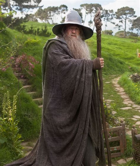 Image Ian Mckellen Gandalf The Grey The Hobbit Pic2 Playstation