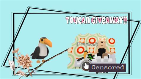 Toucan Giveawayiireixnqt Youtube