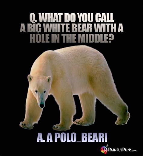 Bear Jokes Panda Puns Grizzly Humor 2