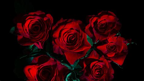 Wallpaper Id 931 Flowers Roses Bouquet Black 4k Free Download