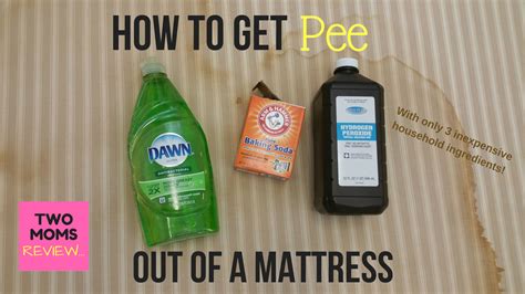 How to wash your pillow (yes, you should). How to Get Pee Out of a Mattress in 5 Easy Steps