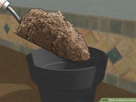 See full list on wikihow.com How to Repot a Plant: 14 Steps (with Pictures) - wikiHow