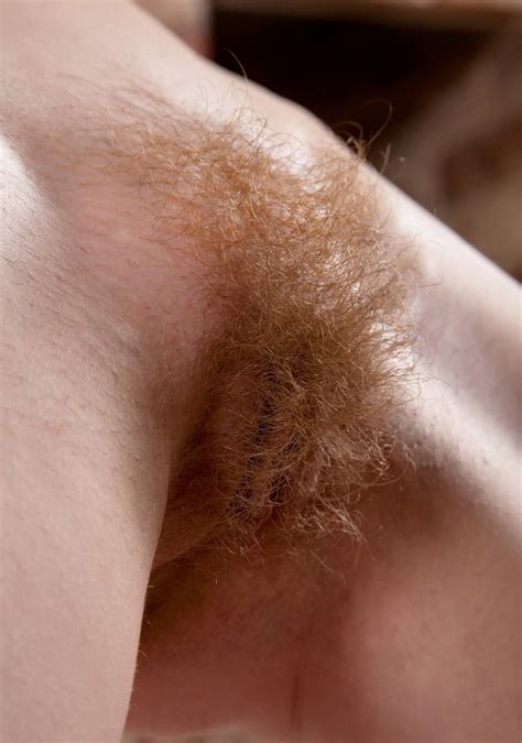 Hairy Pussy