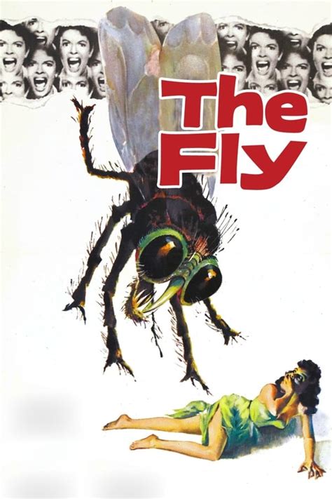 The Fly 1958 — The Movie Database Tmdb