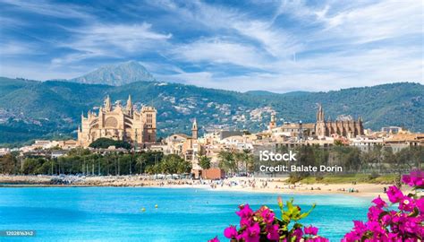 Landscape With Beach And Palma De Mallorca Town Stock Photo Download