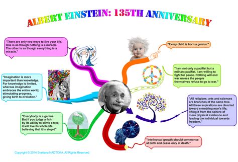 Mapa Conceptual De Albert Einstein Una Guía Para Entender Su Teoría De