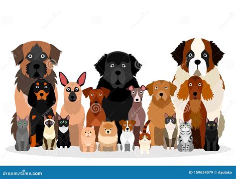 Large Group Of Various Breeds Dogs And Cats Stock Vector Illustration