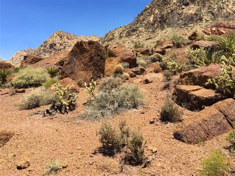 By backing up behind some nearby cactus plants and closing down on the. Free picture: desert, landscape, sand, dry, mountain ...