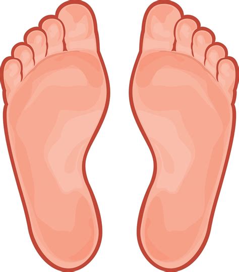 Human Foot Icon 3195921 Vector Art At Vecteezy