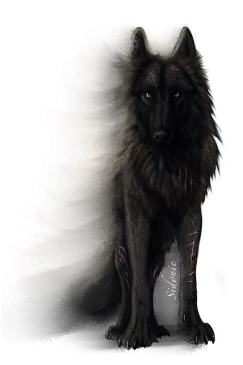 Lobo Anime Wolf Wolf Tattoos Wolf Spirit Spirit Animal Fantasy Wolf
