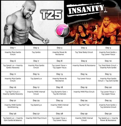 Shaun T Insanity Workout Video Free Download Potentheart