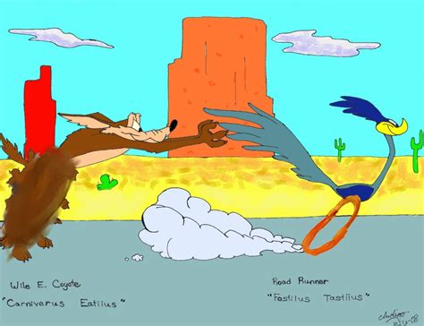 Wile E Coyote And The Road Runner Looney Tunes Characters Looney