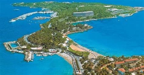 Απεντομώσεις, απολυμάνσεις & μυοκτονίες, αξιόπιστα & πολύ οικονομικά με άριστο αποτέλεσμα από την παλαιότερη εταιρεία απεντομώσεων στην αττική. ΕΣΧΑΤΗ ΓΡΑΜΜΗ ΑΝΑΣΧΕΣΕΩΣ: ΕΡΧΟΝΤΑΙ ΟΙ ΕΙΔΙΚΕΣ ΟΙΚΟΝΟΜΙΚΕΣ ...