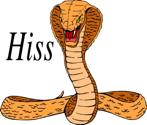 Hiss Clipart 20 Free Cliparts Download Images On Clipground 2020
