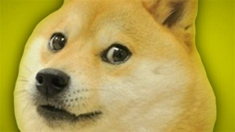 We present you our collection of desktop wallpaper theme: Doge Meme Wallpaper - WallpaperSafari