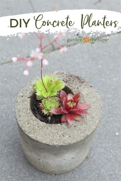 Make DIY Concrete Planters in 4 Simple Steps (Easy for Beginners)