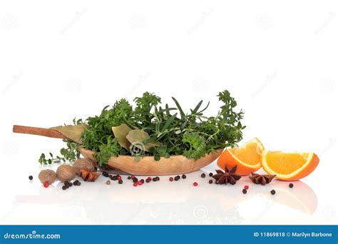 Herbs Spices And Orange Fruit Stock Photo Image Of Condiment