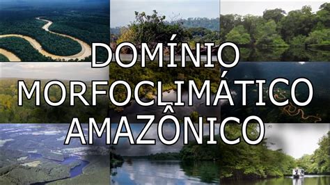 Domínio Morfoclimático Amazônico YouTube