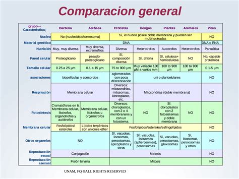 Evidencia Cuadro Comparativo De Los Distintos Dilemas Eticos Y Hot Hot Sex Picture