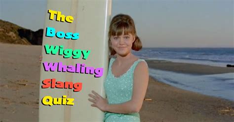 can you dig all this sixties surfer slang from gidget